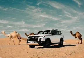 A white SUV driving through the desert with camels in the background.